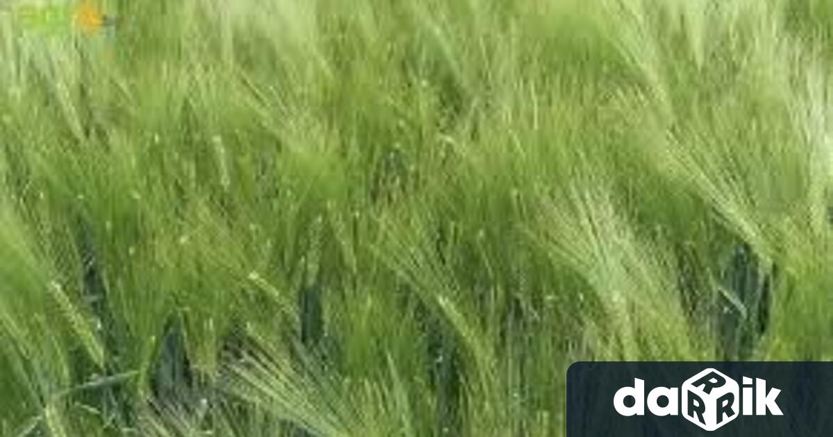 На 15 юни в 15 03 часа на тел 112