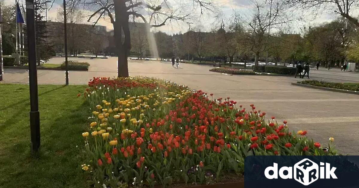 В Плевен вече се отнемат електрически тротинетки от водачи които