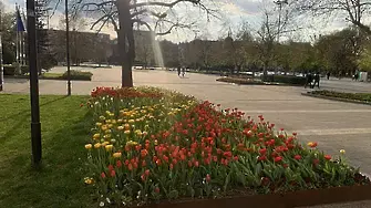 В Плевен вече отнемат временно електрически тротинетки, управлявани в централната пешеходна зона