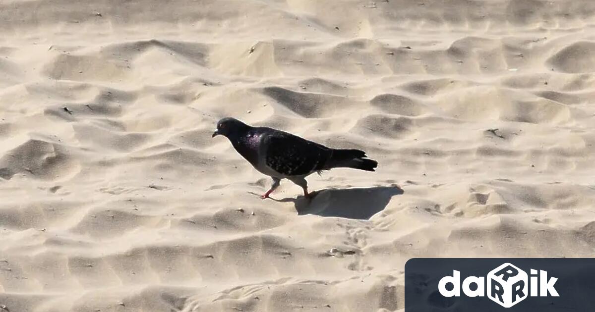 Международната общност отбелязва всяка година на 17 ти юни Световния ден