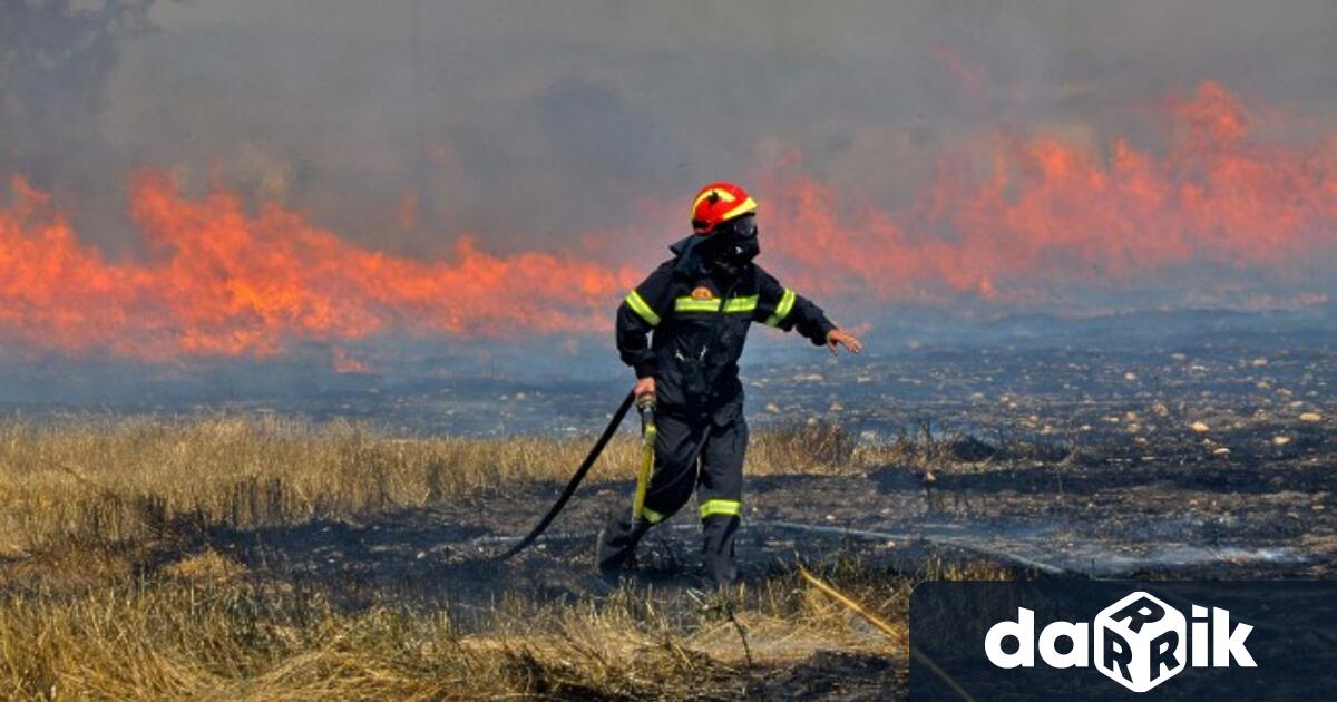 Изгоря пшеничен блок в с Софрониево съобщиха от МВР Враца На
