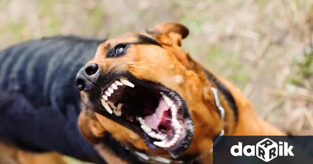 Двама души са приети по спешност в столични болници след