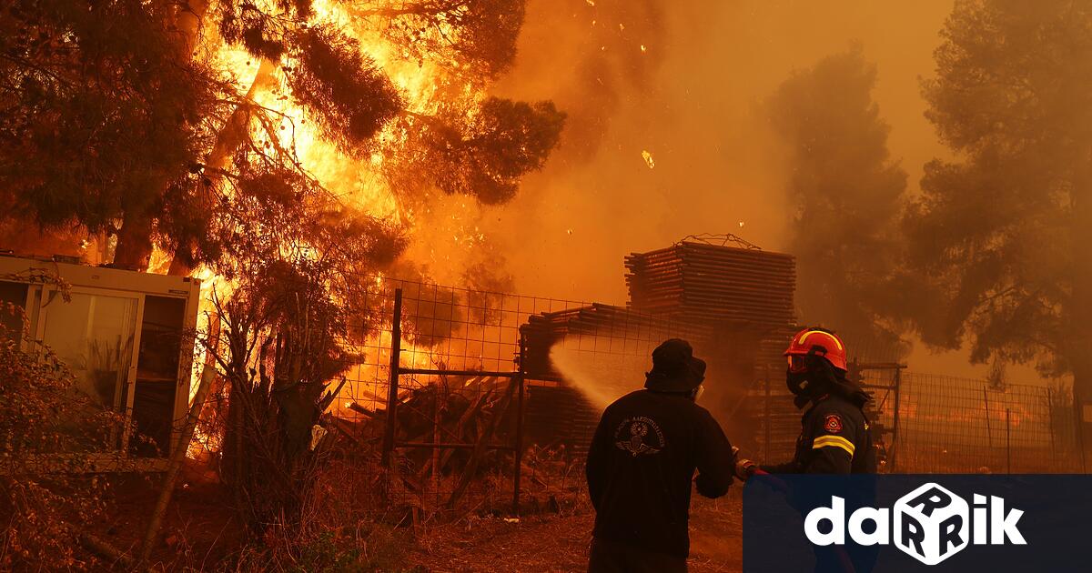 Горски пожар избухна в района на Палеа Фокея в източната