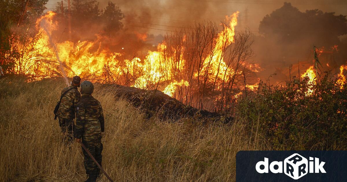 Жена беше осъдена на три години затвор и глобена 10