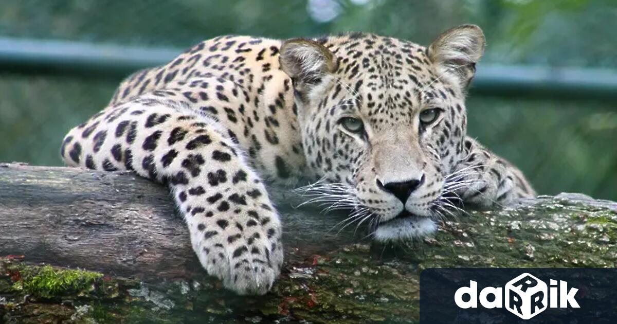 И към тази сутрин е в сила забраната за достъп