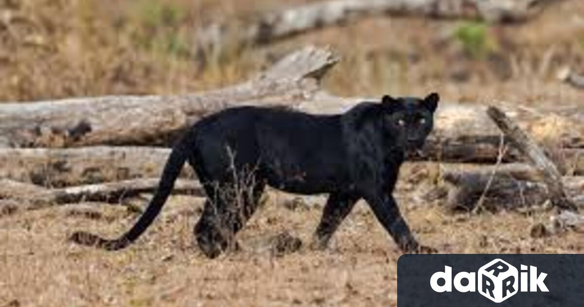 Близо 4000 души вече са подкрепили петиция в социалните мрежи