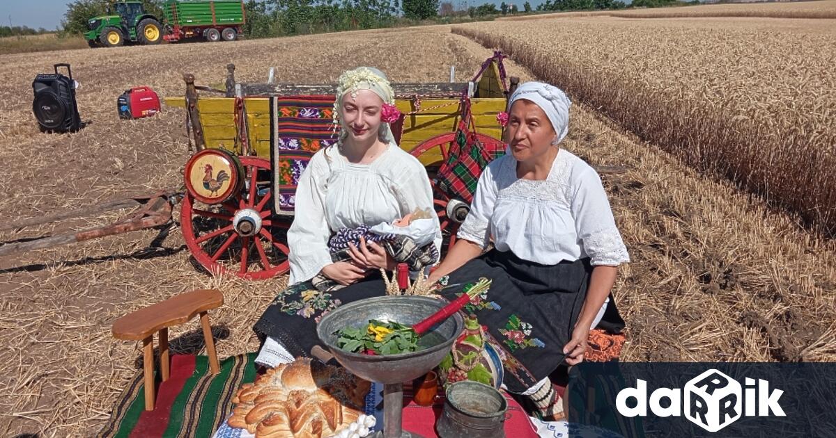 В района на вълчедръмското село Мокреш от Монтанския съюз на