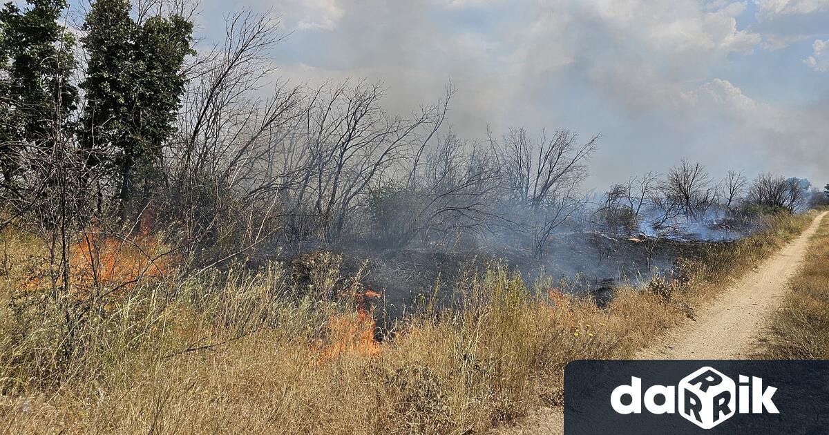 Пожар избухна в житен блок край Хасково този следобед съобщиха