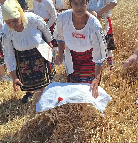 Наталия Киселова при откриване на жътвата във хайрединското с. Манастирище : „Никой не е по-голям от хляба“