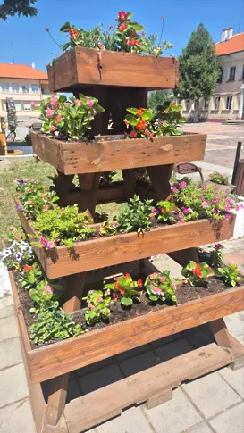  Зацветяват дребните обитаеми места в община Плевен с над 2000 бегонии 