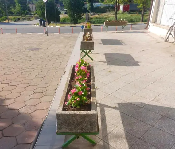  Зацветяват дребните обитаеми места в община Плевен с над 2000 бегонии 