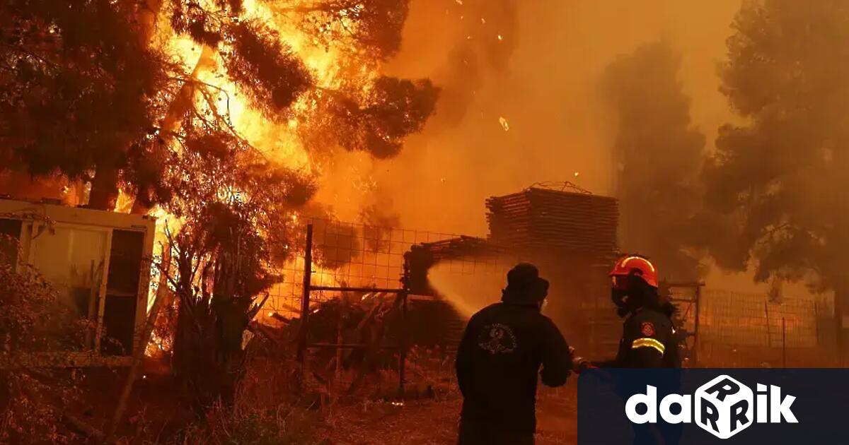 Декари посеви както и сухи треви и храсти изгоряха днес