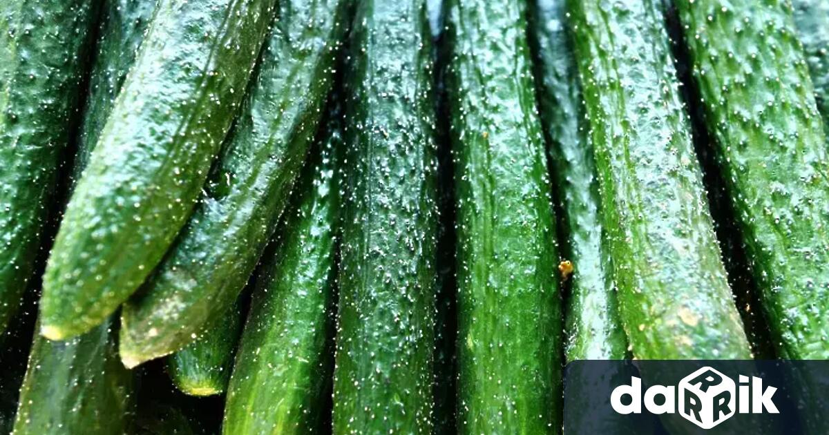 Земеделски производители в България изкореняват насажденията защото не могат да