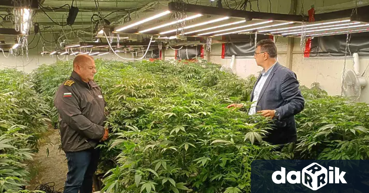 При провеждане на специализирана полицейска акцияна територията наСофия са разкрити