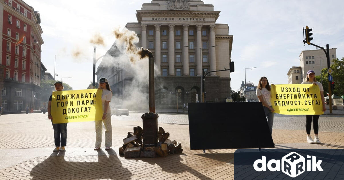 Печка на дърва запалиха активисти от Грийнпийс България пред Министерския