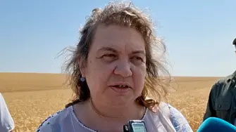 Наталия Киселова за вота на недоверие: Това е нарушение на процедурата
