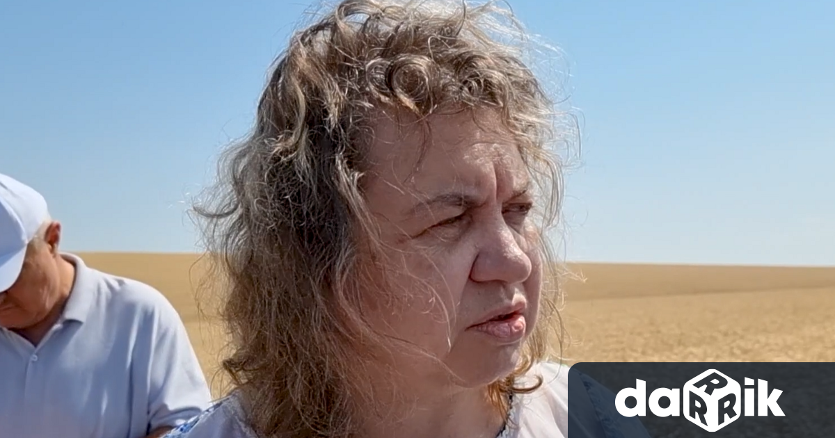 Увеличението на цените няма пряка връзка с приемането на еврото