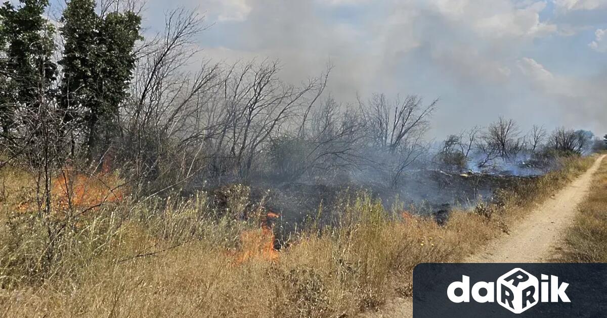 Локализиран е пожарът в местността Гарга баир край Велико Търново