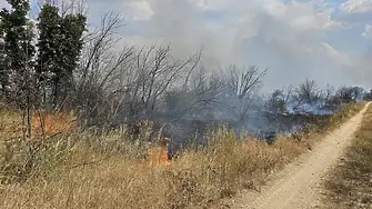 Пожарът край Велико Търново е под контрол