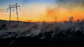 Голям пожар край село Песнопой: Активираха BG-Alert