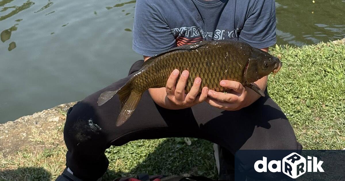 Днес 6 юли от 9 30 до 12 часа в парк