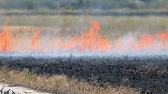 Отново пламна Атанасовското езеро