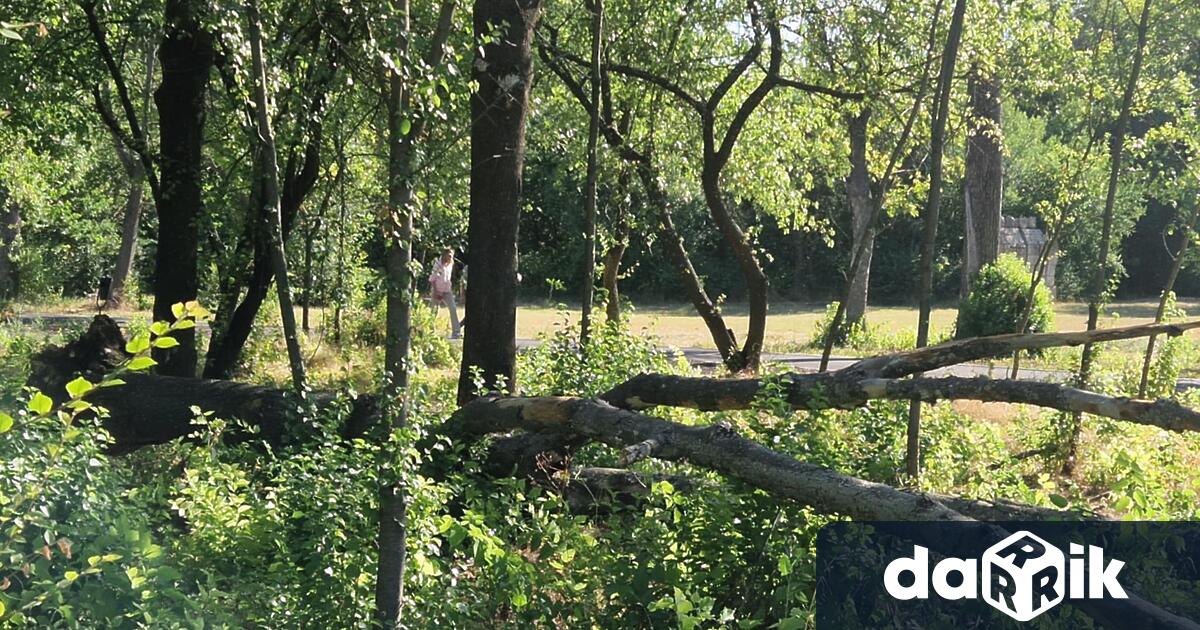 Девет пожара са били потушени на територията на община Нова