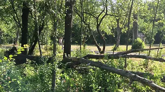 Пожарникари и граждани с общи усилия овладяха последствията от бурята в Нова Загора