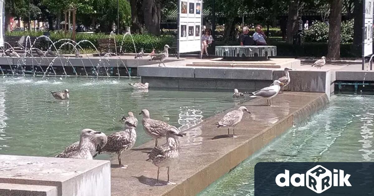 Около 2300 души са починали от горещини в 12 европейски