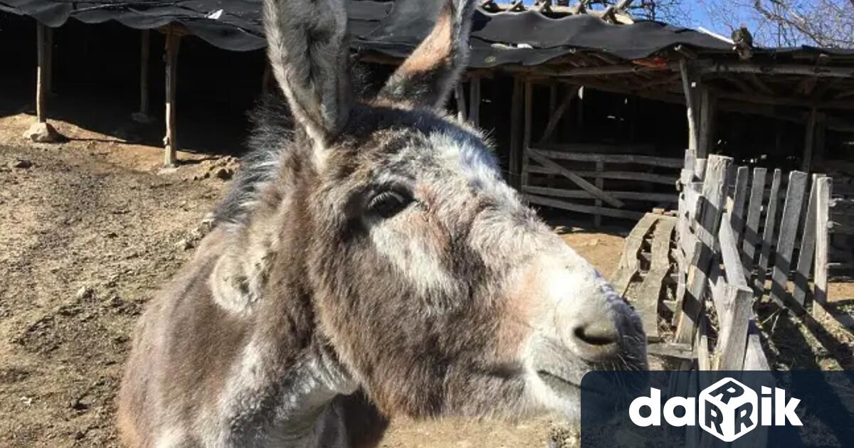 Един войник загина а двама бяха ранени след като бомба прикрепена