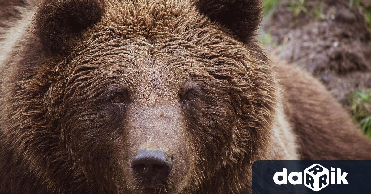 Югоизточното държавно предприятие ЮИДП – Сливен се включва активно в