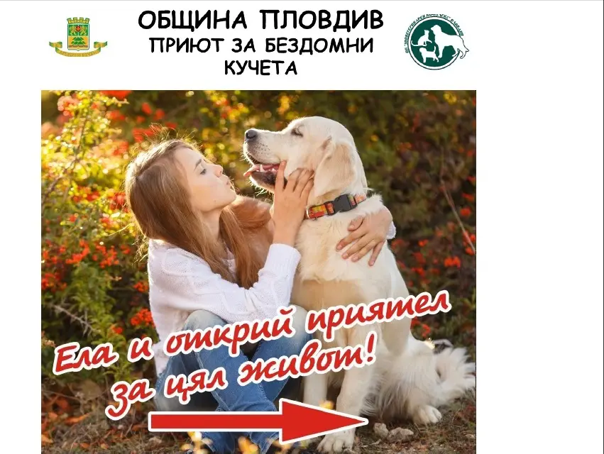 ПП-ДБ: Къде се заустват отпадните води от общинския приют на Пловдив и спазени ли са екостандартите?