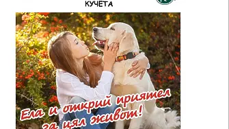 ПП-ДБ: Къде се заустват отпадните води от общинския приют на Пловдив и спазени ли са екостандартите?