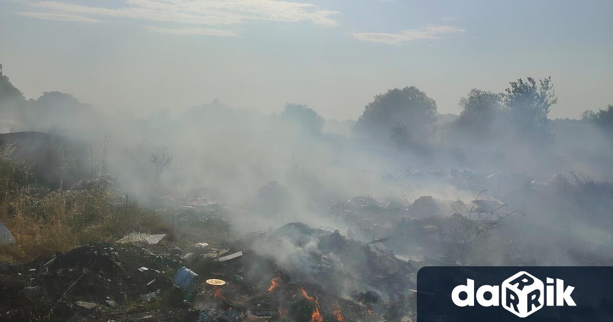 Само за едно денонощие пожарникарите в Пловдивска област са реагирали