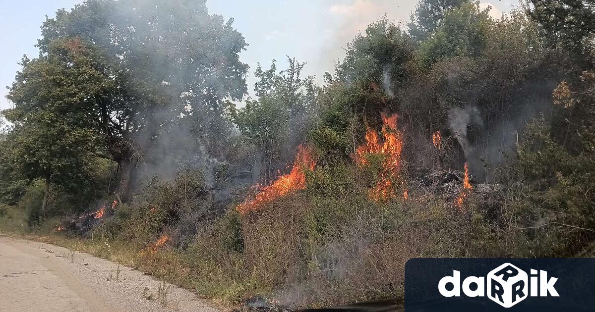 Огромен пожар бушува между селата Граничак и Дъбравка съобщават от