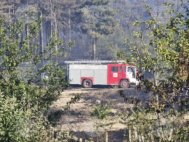 Пожар гори в района на плаж Нестинарка край Царево