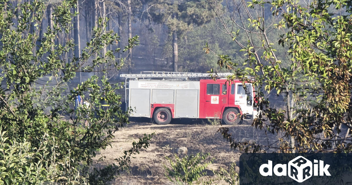 Пожар гори в района на плаж Нестинарка край Царево Това