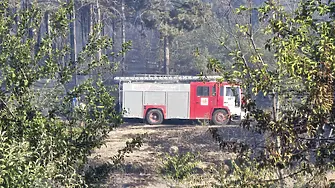Пожар гори в района на плаж Нестинарка край Царево