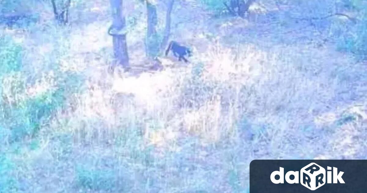 Отменят се планираните летни занимания организирани от Центъра за подкрепа