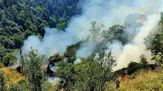 Два пожара до Пловдив - запали се депото в Цалапица, пламнаха и 20 дка над Асеновград 