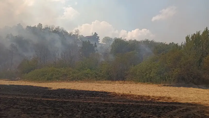 Пожар във видинско - търсят се доброволци