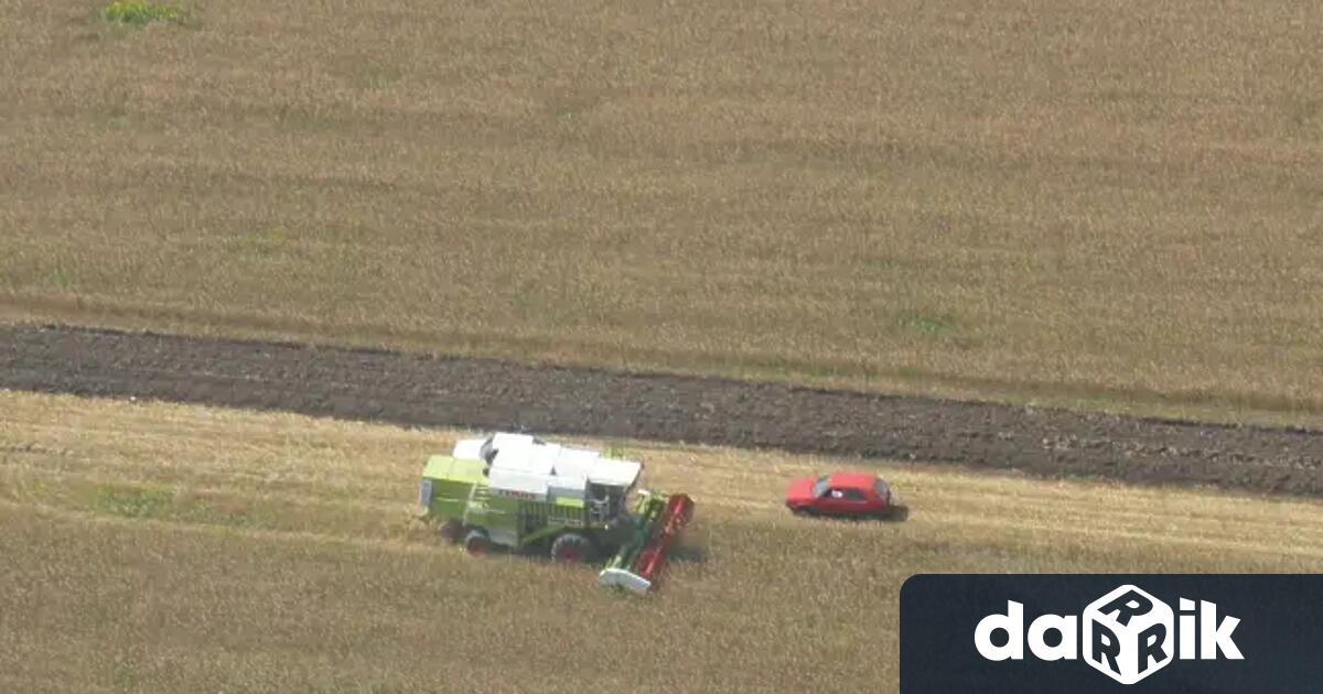 Добивите в страната от тазгодишната жътва са различни и зависят