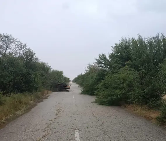 Сигнали за паднали дървета и частично прекъсване на тока на места в Плевенско, след дъжда и силния вятър