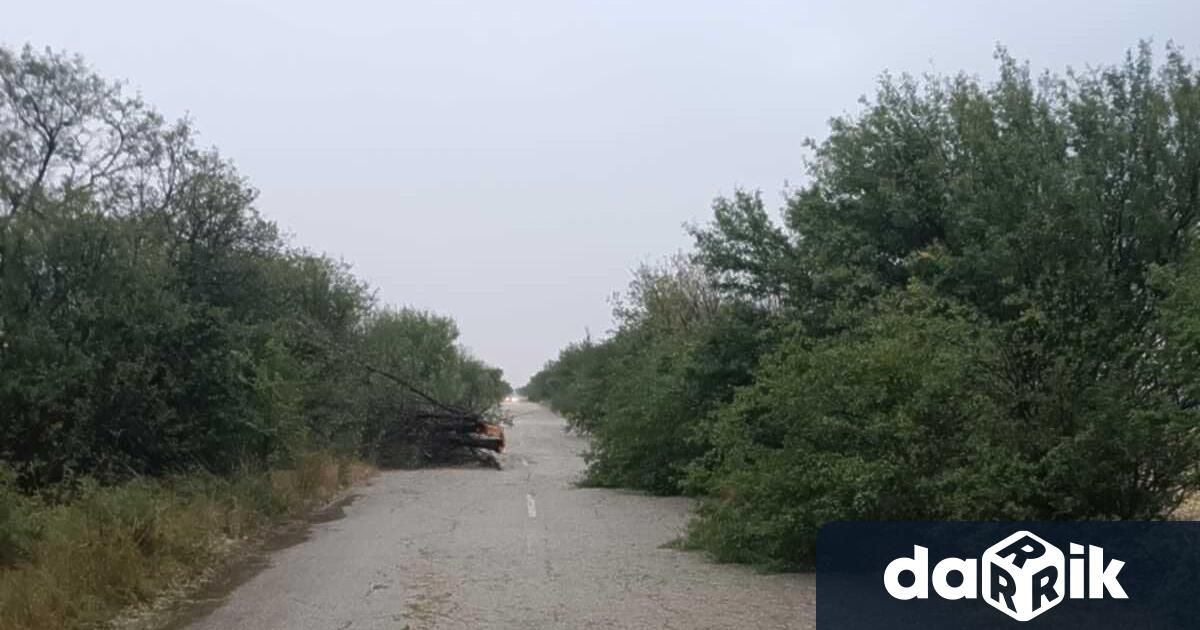 Сигнали за паднали дървета и частично прекъсване на тока на