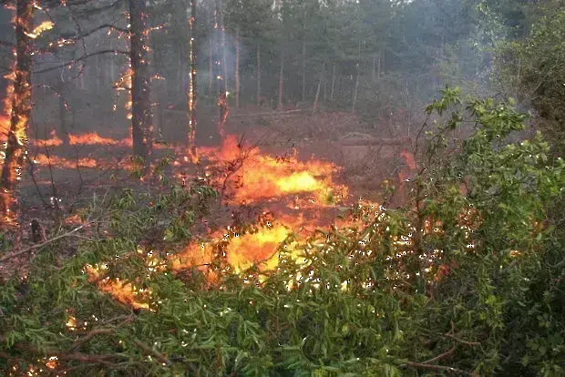 Пожар край село Илинденци в Благоевградско