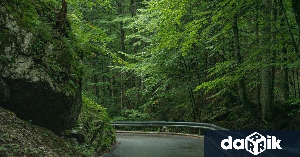 Община Сливен възложи почистване на растителността край пътя Селиминово Бинкос която