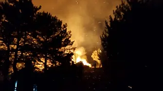 250 дка борова гора, сухи треви и храсти горят над село Илинденци, община Струмяни
