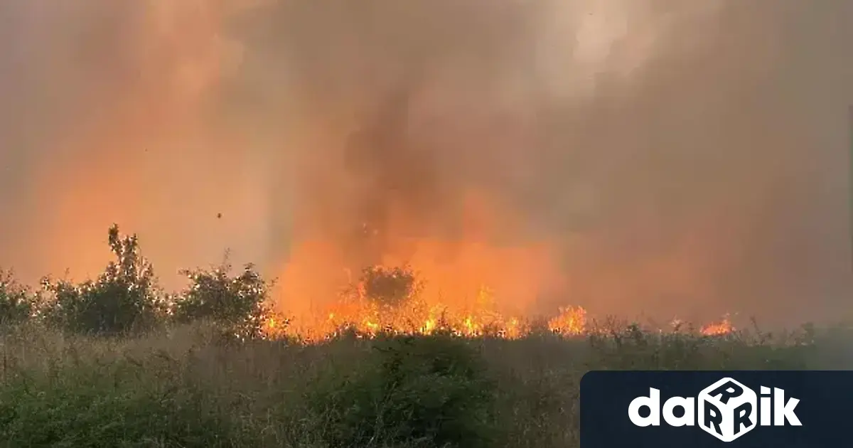 Нова огнена стихия пламна тази вечер в Пловдивско Пожар е