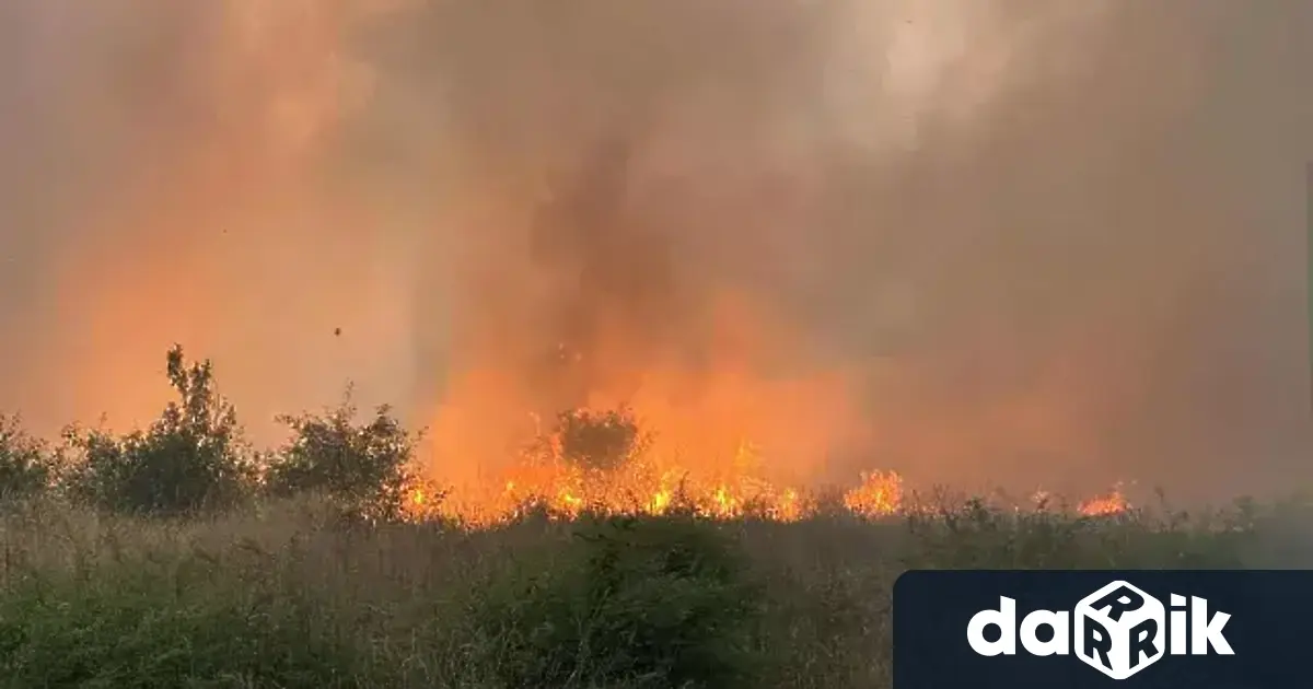 Предполага се че пожарът който затвори за часове АМ Тракия