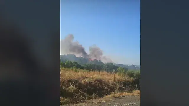 Пожар край Зидарово, кметът подозира умишлен палеж